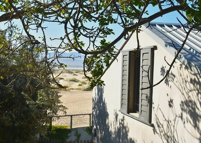 The Plett Shed