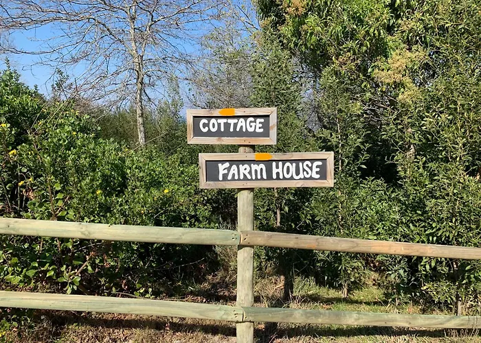 Trinity Farm Ocean View Cottage